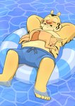 anthro belly big_belly biped blush bottomwear clothing duo eyes_closed feet kemono lying male overweight overweight_male shorts swimwear water panda_po canid canine felid fox mammal pantherine tiger 2024 hi_res