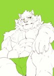 abs anthro bulge clothing eyebrows frown male muscular muscular_anthro muscular_male nipples pecs sitting solo speedo swimwear thick_eyebrows heylaw21 lifewonders live_a_hero monomasa canid canine canis domestic_dog husky mammal nordic_sled_dog spitz absurd_res hi_res monochrome