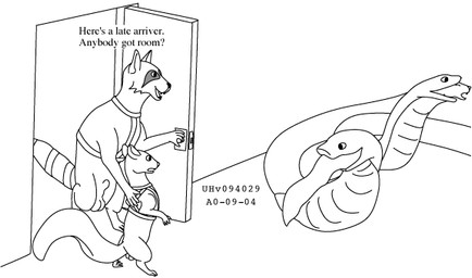 balls dialogue door feral feral_pres feral_prey forced genitals group inside male male/male oral_vore size_difference smile standing tail unwilling_prey vore willing_pred urbanhermit mammal procyonid raccoon reptile rodent scalie sciurid snake tree_squirrel monochrome