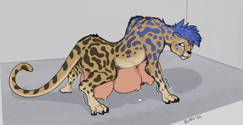 big_breasts bodily_fluids breasts female feral huge_breasts hyper hyper_breasts lactating looking_back mismatched_udders shaking shaking_legs solo teats tremble_lines trembling udder_lactation udders milvusb bluebonnet cheetah felid feline mammal hi_res
