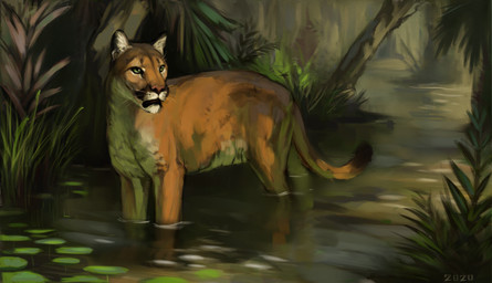 belly feral fur grass lily_pad looking_aside pink_nose plant quadruped solo swamp tan_body tan_fur tree water whisker_spots whiskers white_belly white_chest alexpahomov cougar felid feline mammal north_american_cougar 2020 absurd_res digital_media_(artwork) digital_painting_(artwork) hi_res painting_(artwork)
