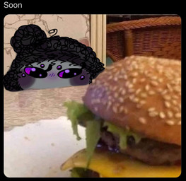 black_body black_fur black_hair blush burger food fur grey_body grey_fur hair male multi_eye photo_background purple_eyes text sosu-the-blue-wolf velley_(beastbeans) arachnid arthropod spider colored english_text meme photography_(artwork)