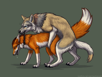 ambiguous_gender ambiguous_penetrated ambiguous_penetration asphyxiation ball_gag balls bdsm black_claws black_collar black_pawpads blue_eyes bodily_fluids choking claws collar collar_only digitigrade drooling duo feral feral_on_feral feral_penetrated feral_penetrating feral_penetrating_feral from_behind_position fur gag gagged genitals green_background grey_markings grey_tail male male/ambiguous male_penetrating male_penetrating_ambiguous markings mating_grip mounting nude obscured_penetration orange_body orange_eyes orange_fur pawpads penetration penile penile_penetration quadruped saliva sex side_view simple_background tail tan_body tan_fur tan_tail text white_balls white_body white_fur white_tail heatherwolf canid canine canis fox mammal wolf url