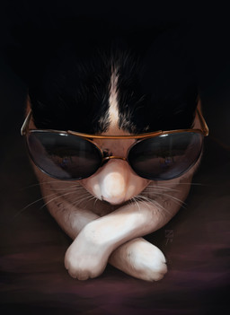 ambiguous_gender black_body black_fur eyewear feral fur reflection solo sunglasses whiskers white_body white_fur zietro domestic_cat felid feline felis mammal 2017
