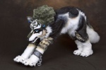 clothing costume feral fursuit male piercing quadsuit real solo stretching beastcub nintendo the_legend_of_zelda twilight_princess link_(wolf_form) canid canine canis imp mammal wolf grandfathered_content