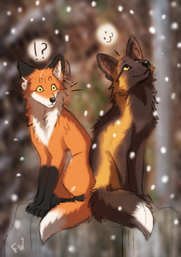 :3 ambiguous_gender black_body black_fur duo feral fur interrobang orange_body orange_fur paws sitting smile white_body white_fur flashw canid canine cross_fox fox mammal red_fox true_fox 2022 digital_drawing_(artwork) digital_media_(artwork)