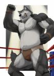 anthro clothed clothing fighting_ring male musclegut muscular nipples slightly_chubby solo topless wrestler wrestling normalize canid canine canis mammal wolf hi_res