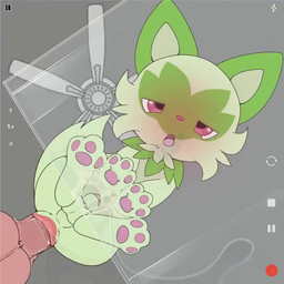 against_surface ahegao anal anal_fluids anal_penetration anus ball_slap balls balls_deep bestiality blush bodily_fluids bouncing_balls camera_view ceiling_fan disembodied_penis duo electric_fan erection female_voice feral feral_focus feral_penetrated from_behind_position fur genital_fluids genitals glass_table green_body green_fur human_on_feral human_penetrating human_penetrating_feral human_penetrating_male interspecies looking_pleasured male male/male male_on_feral male_on_human male_penetrated male_penetrating male_penetrating_feral male_penetrating_male moan multicolored_body multicolored_fur nude on_glass orgasm pawpads penetration penile penile_penetration penis penis_in_ass pink_nose pink_pawpads pink_paws pokephilia pose quadruped red_eyes sex size_difference slap smaller_penetrated solo_focus two_tone_body two_tone_fur conditional_dnp talentlesshack nintendo pokemon felid generation_9_pokemon human mammal pokemon_(species) sprigatito 1:1 2024 2d_animation animated colored digital_media_(artwork) frame_by_frame short_playtime sound video voice_acted