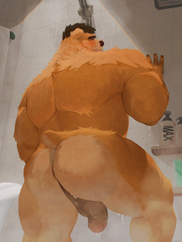 anthro anus balls blush blush_lines brown_body brown_fur butt foreskin fur genitals hand_on_wall humanoid_genitalia humanoid_hands humanoid_penis male muscular muscular_anthro muscular_male partially_retracted_foreskin penis perineum rear_view shower solo tile tile_wall wall_(structure) wet wet_body wet_fur freddyv7205172 bear mammal 3:4 hi_res