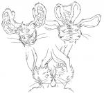 2014 2_heads ambiguous_gender anthro base_two_layout basic_sequence black_and_white blockage_(layout) boo3 buckteeth fused_eyes horizontal_blockage lagomorph leporid mammal mitosis monochrome multi_head rabbit sequence solo splitting teeth three_frame_image three_frame_sequence transformation transformation_sequence two_row_layout