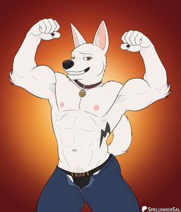 abs anthro armpit_hair biceps body_hair bottomwear brown_eyes bulge clothed clothing collar flexing fur looking_at_viewer male muscular muscular_anthro muscular_male navel nipples open_bottomwear open_clothing open_pants pants pecs pubes pubes_exposed simple_background smile solo standing tail tattoo text topless topless_anthro topless_male underwear wardrobe_malfunction white_body spelunker_sal bolt_(film) disney bolt_(bolt) canid canine canis domestic_dog mammal 2026 absurd_res colored digital_media_(artwork) english_text hi_res