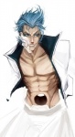 blue_eyes blue_hair hair male not_furry solo unknown_artist bleach_(series) grimmjow_jaegerjaquez arrancar hollow_(bleach) humanoid