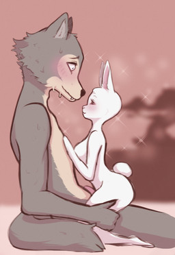 anthro anthro_on_anthro barely_visible_genitalia barely_visible_penis bodily_fluids breasts duo female fur genitals grey_body grey_fur interspecies larger_male male male/female nervous nude on_lap penis predator/prey romantic romantic_couple sitting_on_lap size_difference smaller_female straddling sweat white_body white_fur peachkuns beastars haru_(beastars) legoshi_(beastars) canid canine canis domestic_rabbit dwarf_rabbit lagomorph leporid mammal oryctolagus rabbit wolf hi_res
