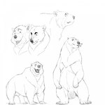 animal_genitalia balls big_balls claws eating eating_food feral fully_sheathed genitals hair male mane mane_hair open_mouth paws sheath slightly_chubby solo standing stern_look shebeast kuruk_(character) bear brown_bear fish grizzly_bear mammal marine ursine 1:1 hi_res monochrome