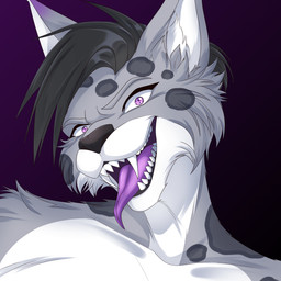 anthro black_hair black_nose evil_grin facial_tuft fur grey_body grey_fur hair long_tongue male markings purple_background purple_body purple_eyes purple_fur purple_tongue sharp_teeth simple_background smile solo spots spotted_markings teeth tongue tongue_out tuft white_body white_fur altaluna skyler_(skylerlynx) canada_lynx felid feline lynx mammal 1:1 absurd_res hi_res