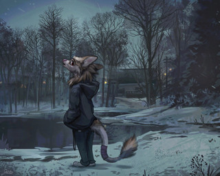 anthro biped bottomwear brown_body brown_fur building cheek_tuft clothed clothing clothing_cord cold drawstring facial_tuft footwear frozen fully_clothed fur hand_in_pocket head_tuft hoodie house lake lights looking_back male neck_tuft outside pants pink_nose plant plantigrade pockets pointy_ears prick_ears red_eyes shoes sky snow solo standing tail tail_tuft topwear tree tuft winter jacato unknown_species 2021 character_request cool_colors digital_media_(artwork) digital_painting_(artwork) hi_res painting_(artwork) signature