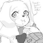 1:1 anthro bird_dog blush canid canine canis clothing cookie crumbs domestic_dog eating eating_food english_text fay_(star_fox) female food hunting_dog jacket mammal monochrome nintendo peanut_butter_cookie rommi scarf sketch solo spaniel star_fox text topwear
