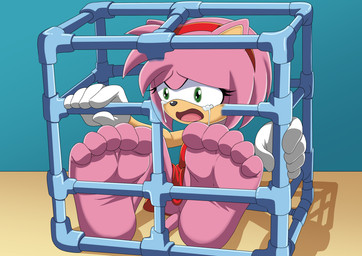 5_toes anthro barefoot bodily_fluids cage crying feet female foot_fetish foot_focus green_eyes in_cage pink_body soles solo tears toes the_dark_mangaka sega sonic_the_hedgehog_(series) amy_rose eulipotyphlan hedgehog mammal 2025 hi_res