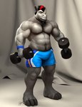 3_toes abs anthro barefoot black_hair blue_bottomwear blue_clothing blue_shorts blue_wristband body_hair bottomwear chest_hair clothing curtains deltoids dumbbell facial_horn feet grey_body grey_eyes grey_skin hair holding_weights horn looking_at_viewer male musclegut muscular muscular_thighs navel nipples nose_horn obliques ponytail pubes red_hair shorts solo toes weights wristband braford chuck_(braford) mammal rhinoceros 2016 3d_(artwork) dated digital_media_(artwork) signature