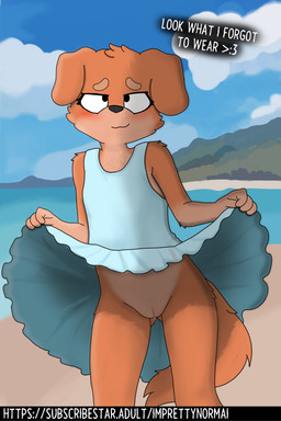 anthro beach blush cheeky clothed clothing clothing_lift dress female fur genitals no_underwear outside public public_nudity sand sea smile solo tail text tress vulva water young young_anthro imprettynormai erin_(imprettynormai) canid canine mammal 2:3 absurd_res hi_res