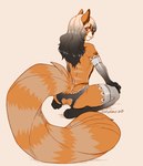 anthro anus big_tail biped border butt clothed clothing crotchless_clothing crotchless_panties crotchless_underwear ear_piercing femboy gradient_hair hair kneeling legwear long_hair looking_at_viewer looking_back looking_back_at_viewer male markings orange_border panties piercing rear_view simple_background solo striped_markings striped_tail stripes tail tail_markings thigh_highs topless underwear caninelove vincent_(montsegur) ailurid mammal red_panda 2019 artist_name digital_media_(artwork)