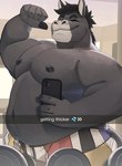 5_fingers anthro areola belly biceps big_belly black_eyebrows black_nipples bottomwear caption cellphone clothed clothing countershade_snout countershading detailed_background dumbbell electronics emoji eyebrows eyes_closed fingers flexing fur grey_body grey_countershading grey_fur gym hair happy holding_object holding_phone inside male moobs multicolored_body multicolored_fur musclegut muscular muscular_anthro muscular_male natural_colors navel nipples overweight overweight_anthro overweight_male pecs phone selfie shorts smartphone smile snout solo text topless topless_anthro topless_male tuft two_tone_body two_tone_fur weights unatazaamarilla carlos_(burropaleta) asinus donkey equid equine mammal 2024 english_text half-length_portrait hi_res portrait