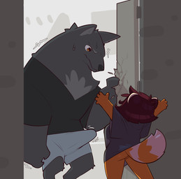 5_fingers anthro black_clothing black_shirt black_topwear bodily_fluids bottomless bottomwear bulge butt clothed clothing countershade_torso countershading doorway duo emanata erection erection_under_clothing female fingers fur genitals grey_body grey_bottomwear grey_clothing grey_fur grey_nose grey_shorts hair humanoid_genitalia humanoid_vulva larger_male male markings motion_lines orange_body orange_eyes orange_fur partially_clothed pointy_ears prick_ears red_hair shirt shorts size_difference smaller_female snout standing striped_markings striped_tail stripes sweat sweatdrop tail tail_markings tenting topwear tremble_spikes vulva white_body white_fur payanuma payanda polf_(payanuma) ailurid canid canine canis mammal red_panda wolf 2025 hi_res