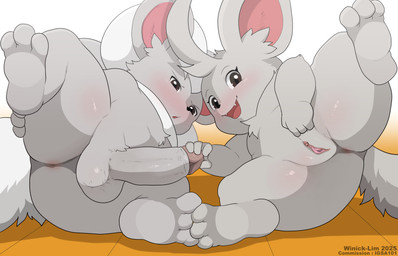 anthro anus balls blush both_sexes_in_same_situation butt clitoral_hood clitoris digitigrade duo erection female foreskin fur fur_tuft genitals glans grey_arms grey_balls grey_body grey_butt grey_ears grey_fingers grey_fur grey_hands grey_legs grey_penis grey_tail grey_toes humanoid_genitalia humanoid_penis jack_and_jill looking_at_viewer male male/female nude penis retracted_foreskin spread_legs spreading tail take_your_pick teeth tongue tuft urethra vulva young winick-lim nintendo pokemon cinccino generation_5_pokemon minccino pokemon_(species) 2025 absurd_res hi_res