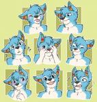 anthro blue_body blue_fur blush ear_piercing facial_expressions fur industrial_piercing male multicolored_ears piercing rainbow rainbow_ears smile solo surprise sparklepaws starswirls sparklepaws_(character) canid canine canis domestic_dog husky mammal nordic_sled_dog spitz bust_portrait multiple_images portrait