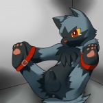 anthro anthrofied anus arm_to_leg balls bdsm black_balls black_body black_fur black_penis blue_body blue_fur blue_tail bondage bound brown_eyes front_view frown fur genitals male multicolored_body multicolored_fur pawpads penis pink_pawpads pokemorph red_eyes red_nose snout solo straps submissive submissive_male tail tan_nose three-quarter_view two_tone_body two_tone_fur wrists_to_ankles yellow_sclera young young_anthro young_male okunawa nintendo pokemon canid canine generation_3_pokemon mammal pokemon_(species) poochyena 1:1