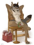 3_toes anthro beverage_can breasts brown_body brown_fur chair convenient_censorship cooler eyewear eyewear_only featureless_breasts feet female fur furniture grey_body grey_fur grin hair hands_behind_head nude reclining simple_background smile solo stool sunglasses sunglasses_only tail teeth toes white_background captainskee sahara_(nicnak044) canid canine canis coyote mammal 3:4 digital_media_(artwork) full-length_portrait hi_res portrait