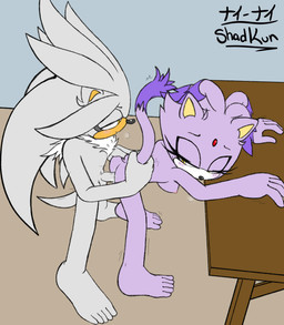 anthro bent_over blush blush_lines breasts duo feet female fluffy fluffy_chest forehead_gem from_behind_position gem hand_on_butt high-angle_view male male/female over_table penetration penile penile_penetration penis_in_vagina purple_body sex standing standing_doggystyle standing_sex tail tail_grab vaginal vaginal_penetration white_body yellow_eyes shadkun sega sonic_the_hedgehog_(series) blaze_the_cat silver_the_hedgehog domestic_cat eulipotyphlan felid feline felis hedgehog mammal 2020 absurd_res hi_res