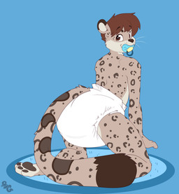 anthro big_diaper blue_background blue_pacifier brown_ear_tips brown_hair brown_pawpads brown_tail_tip clean_diaper clothed clothing diaper diaper_only dipstick_ears dipstick_tail ear_markings fur grey_body grey_fur hair kneeling logo looking_back male markings multicolored_ears object_in_mouth pacifier pacifier_in_mouth pawpads simple_background smile solo spots spotted_body spotted_fur tail tail_markings topless wearing_diaper whiskers white_diaper white_whiskers bubblepuppers drifter_(drifterkitty) felid mammal pantherine snow_leopard absurd_res artist_logo hi_res