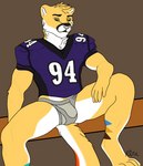 american_football anthro bulge clothed clothing football_gear football_jersey football_player football_uniform fur horsefur jock jockstrap looking_at_viewer male muscular muscular_male pantsless raised_clothing raised_shirt raised_topwear shirt shoulder_pads sitting solo sport topwear underwear yellow_body yellow_fur riley_winters cougar felid feline mammal