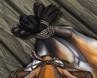 arms_tied bdsm bondage bound captured feet feral feral_bondage first_person_view fur gag gagged hogtied muzzle_(object) muzzled paws rope trapped raptorroper russel_(raptorroper) canid canine fox mammal 5:4 digital_media_(artwork) hi_res