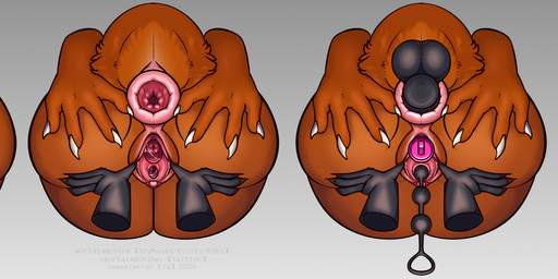 anal anus cervix female gaping gaping_vagina genitals object_in_urethra penetration presenting pussy_sounding sex_toy sex_toy_in_urethra sex_toy_in_vagina sex_toy_insertion spreading stretching urethral urethral_penetration vaginal vaginal_penetration vulva gabriel_(superdragon468) aeriatlas avian reptile scalie hi_res