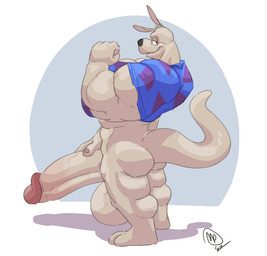 4_fingers anthro anthrofied balls barazoku biceps big_balls big_muscles big_pecs big_penis biped black_nose blue_clothing blue_shirt blue_topwear bottomless bottomless_anthro bottomless_male butt calf_muscles clothed clothed_anthro clothed_male clothing erection feet fingernails fingers fist flexing flexing_bicep forearm_muscles genitals glans hand_on_own_penis hand_on_penis huge_balls huge_muscles huge_pecs huge_penis humanoid_genitalia humanoid_hands humanoid_penis hyper hyper_balls hyper_genitalia hyper_penis long_ears looking_at_viewer looking_back looking_back_at_viewer male male_anthro muscular muscular_anthro muscular_arms muscular_male nails narrowed_eyes open_mouth open_smile pattern_clothing pattern_shirt pattern_topwear pecs penis pink_glans plantigrade shadow shaft_divide shirt shirt_only simple_background smile smiling_at_viewer solo standing tail tan_body three-quarter_view tight_clothing tight_shirt tight_topwear toes topwear topwear_only triceps vein veiny_balls veiny_penis maxpany nickelodeon rocko's_modern_life rocko_rama macropod mammal marsupial wallaby 2022 absurd_res digital_drawing_(artwork) digital_media_(artwork) full-length_portrait hi_res portrait shaded signature