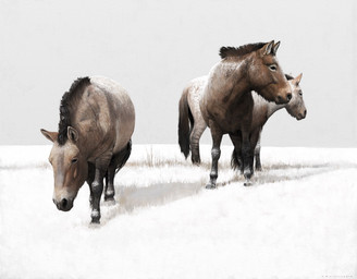 black_eyes brown_body brown_fur feral fur grass group plant quadruped realistic realistic_feral sky snow tan_body tan_fur trio white_sky winter renum63 equid equine mammal prehistoric_species wild_horse 2017 artrage_(artwork) detailed digital_media_(artwork) digital_painting_(artwork) painting_(artwork)