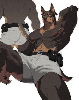 abs anthro belt black_body black_fur black_nose bottomwear brown_body brown_fur butt clothing ear_piercing ear_tag fur kemono male muscular muscular_anthro nipples pecs piercing pointy_ears shorts simple_background solo spread_legs spreading broken_shichi canid canine canis dobermann domestic_dog mammal pinscher hi_res