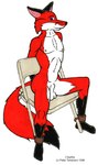 anthro blue_eyes chair furniture genitals male nipples penis simple_background sitting solo white_background whitefire canid canine fox mammal 1996