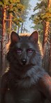 anthro black_nose breasts featureless_breasts female forest front_view fur glistening glistening_eyes grey_body grey_fur looking_at_viewer markings mouth_closed nude plant purple_eyes red_markings solo text tree whiskers marie_merkh canid canine canis mammal wolf artist_name bust_portrait hi_res portrait