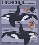 ambiguous_gender back_scar black_body blue_eyes eyes_closed facial_scar feral glistening glistening_eyes mouth_closed open_mouth red_sclera scar side_view solo text white_body imperatorcaesar cetacean dolphin mammal marine oceanic_dolphin orca toothed_whale absurd_res english_text hi_res