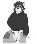 anthro black_clothing black_hoodie black_topwear briefs bulge clothing drawyourfursona hoodie hoodie/briefs_meme male simple_background solo standing topwear underwear white_clothing white_underwear ligoni meme_clothing mammal procyonid raccoon hi_res meme