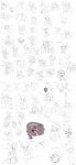 abdominal_bulge anal anus bent_over butt celebi cum cum_inside deep_throat fat_ass fellatio female froslass fucked_silly herm intersex legendary_pokémon macro male meloetta mesprit milotic nintendo oral oral_sex plump_labia pokémon pussy sat_on serperior sex size_difference spread_legs spread_pussy spreading squish theboogie unbirthing video_games vorarephilia vore wet wide_hips
Rating: Explicit
Score: 18
User: Frostking23
Date: December 22, 2012