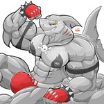 abs anthro biceps bracelet bulge clothing flexing gloves grey_body handwear jewelry jockstrap male muscular muscular_anthro muscular_male nipples pecs red_clothing red_gloves red_handwear red_jockstrap red_underwear shark_tail sitting smile smirk solo spiked_bracelet spikes underwear vein chirros markshark fish marine shark 1:1 hi_res