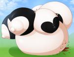 2016 absurd_res anthro areola belly big_belly big_breasts big_butt black_body black_fur bovid bovine breasts butt female flittermilk fur hair hazel_(flittermilk) heart_nipples hi_res huge_belly huge_breasts huge_butt hyper hyper_belly hyper_breasts hyper_butt hyper_pregnancy mammal mismatched_nipples nipples nude orange_hair pregnant solo spots tail tail_tuft tuft white_body white_fur white_nipples