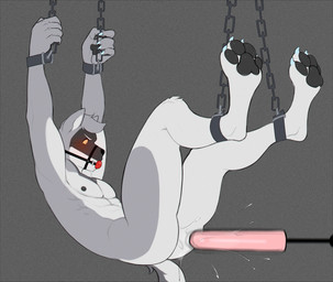 anthro ball_gag blue_claws blush bound chain chained claws dildo fucking_machine gag grey_body hanging_by_arms hanging_by_feet machine male orange_sclera pawpads restrained sex_toy solo eveurite cole_canine canid canine canis domestic_dog husky mammal nordic_sled_dog spitz hi_res