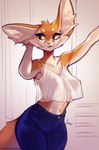 anthro biped blue_eyes breasts clothed clothing female female_anthro inner_ear_fluff nipple_outline smile solo tuft furlana fran_(furlana) canid canine fennec_fox fox mammal true_fox 2022 absurd_res digital_media_(artwork) hi_res