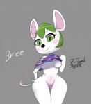 2015 3_fingers 8-tomb :> absurd_res animal_crossing anthro anthrofied biped black_nose blush body_blush breasts bree_(animal_crossing) butt_from_the_front character_name clothed clothing clothing_lift digital_drawing_(artwork) digital_media_(artwork) english_text eyelashes female fingers front_view genitals green_eyes green_hair grey_background hair hand_on_hip hi_res looking_at_viewer mammal medium_breasts mouse murid murine navel nintendo nipples off_shoulder partially_clothed pink_nipples portrait presenting presenting_breasts purple_clothing pussy pussy_blush rat_tail rodent shirt shirt_lift short_hair simple_background small_waist smile solo standing tail text three-quarter_portrait topwear white_body white_pussy white_skin white_tail wide_hips