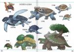 ambiguous_gender blastoise carracosta chart evolution evolution_chart evolutionary_family feathered_wings feathers feral fossil_pokemon generation_1_pokemon generation_3_pokemon generation_4_pokemon generation_5_pokemon grotle group head_wings level_difference nintendo pokemon pokemon_(species) realistic simple_background size_difference squirtle tirtouga torkoal torterra turtwig wartortle white_background wings yajolene